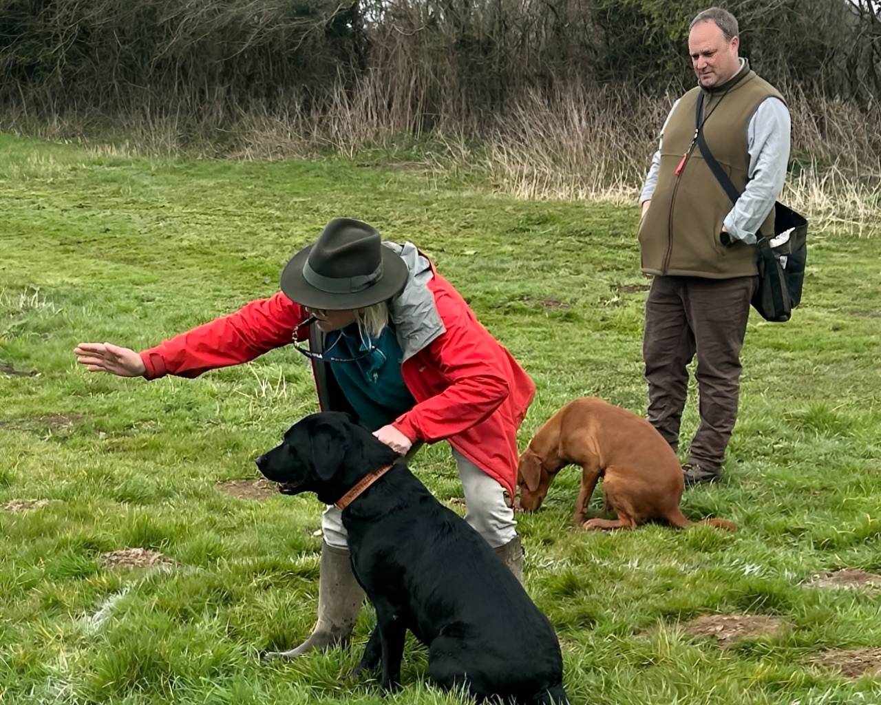 Dog training session in a field