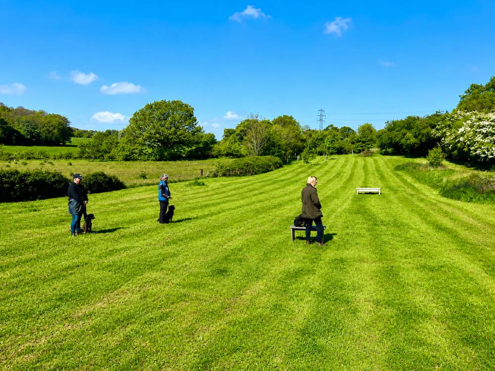 Three people on mowed grassy field