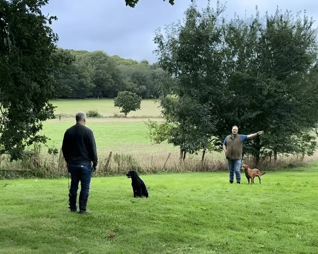 Dog training lesson