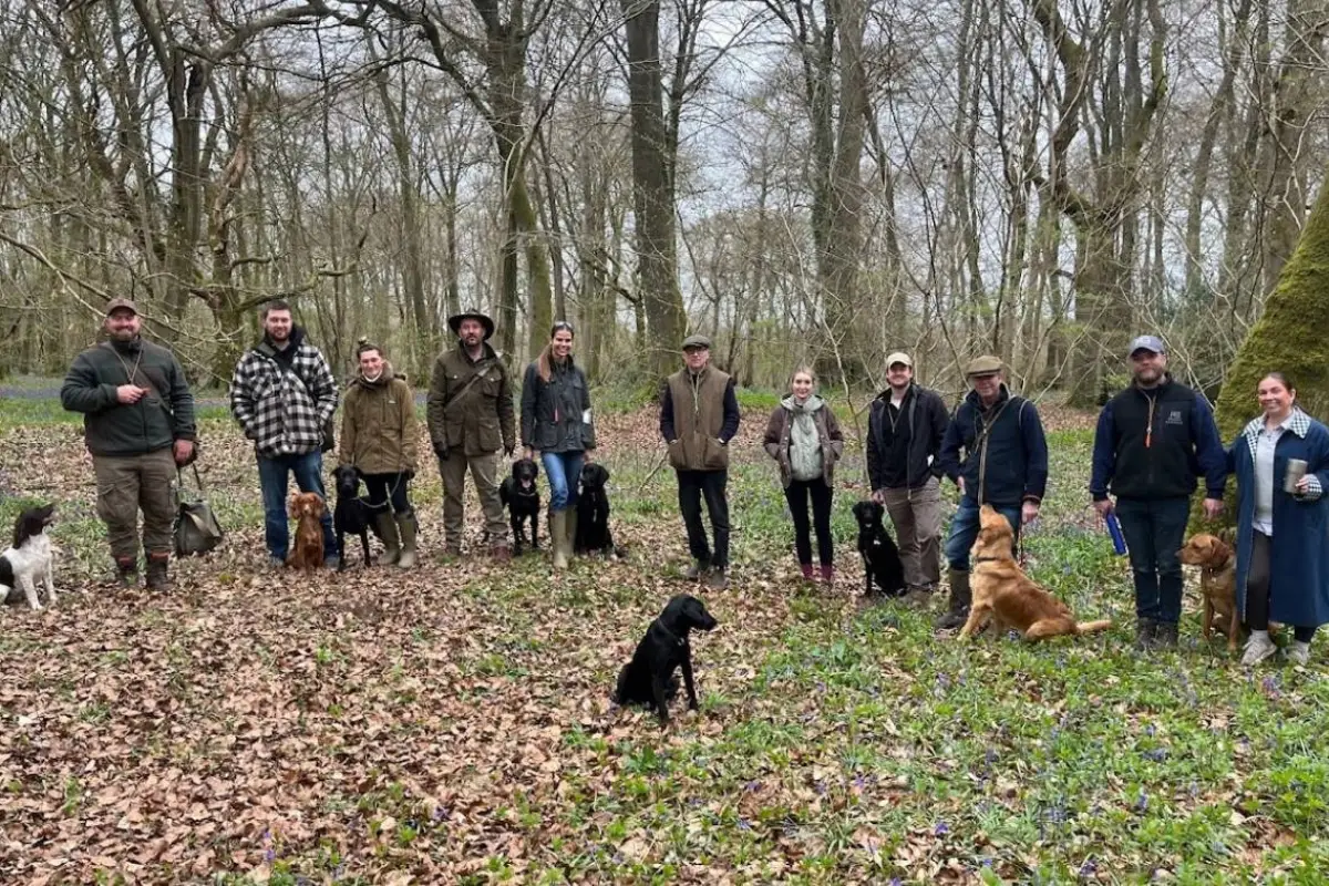 Gundog training group class