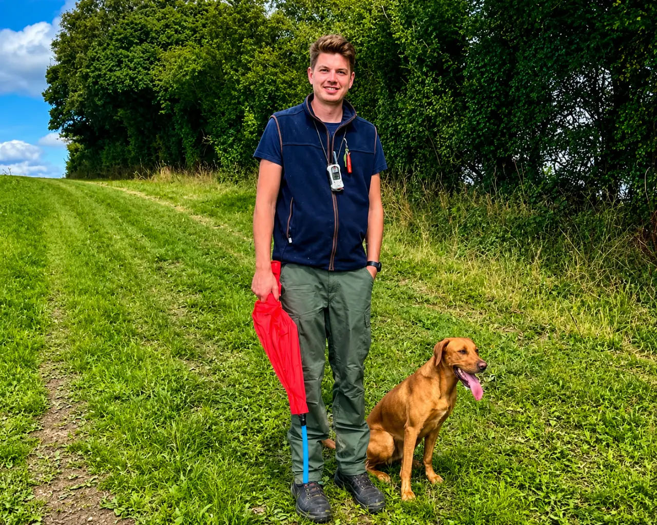 Working labrador on a shoot day